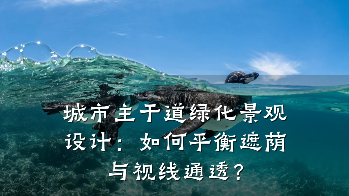 城市主干道绿化景观设计:如何平衡遮荫与视线通透?