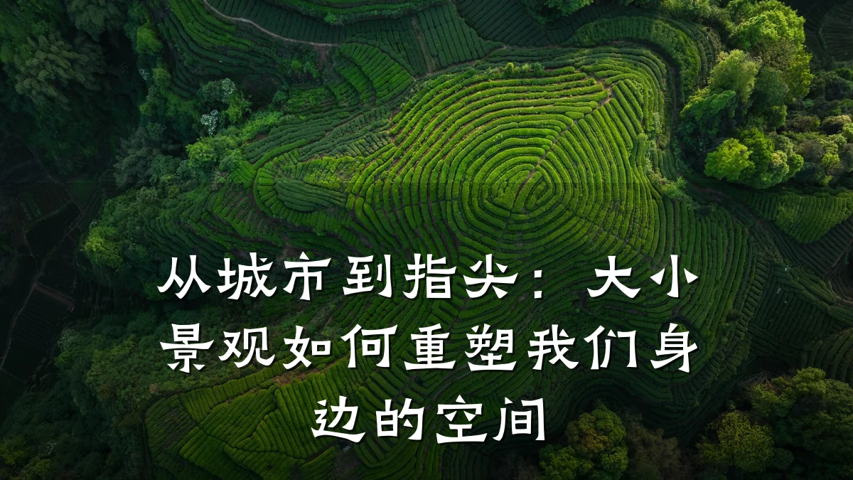 从城市到指尖:大小景观如何重塑我们身边的空间
