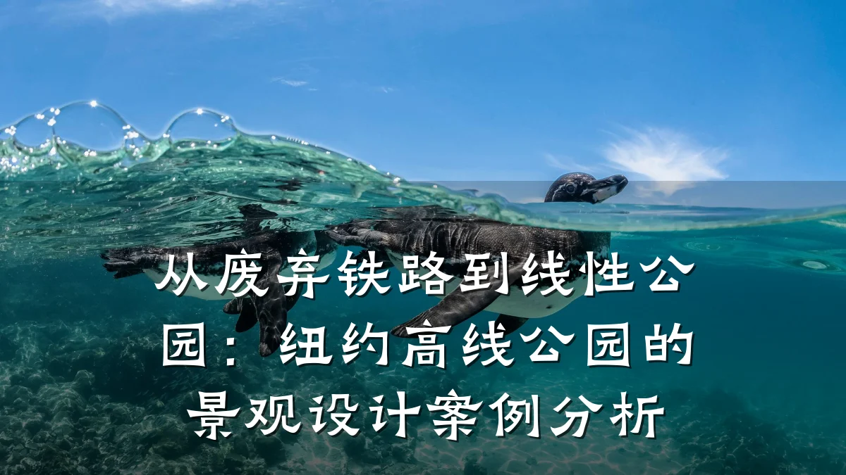 从废弃铁路到线性公园:纽约高线公园的景观设计案例分析