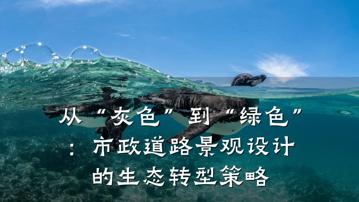 从“灰色”到“绿色”:市政道路景观设计的生态转型策略