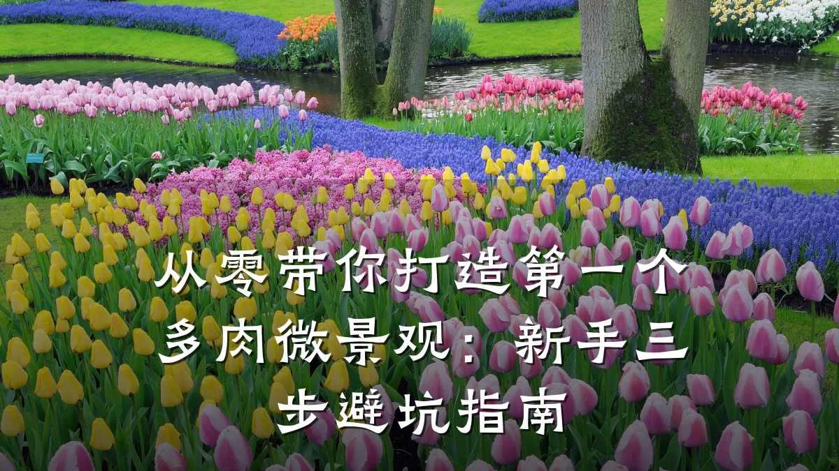 从零带你打造第一个多肉微景观：新手三步避坑指南