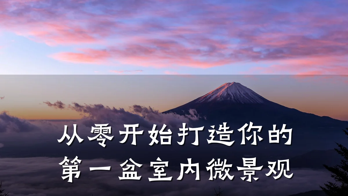 从零开始打造你的第一盆室内微景观