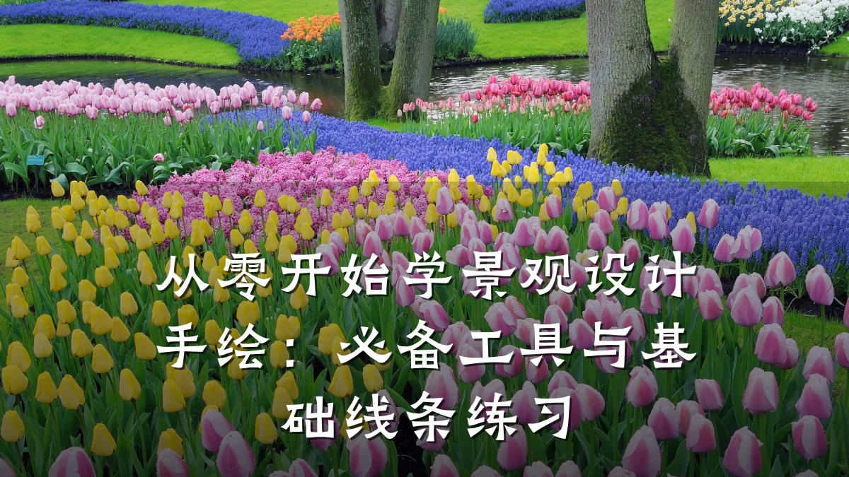 从零开始学景观设计手绘:必备工具与基础线条练习