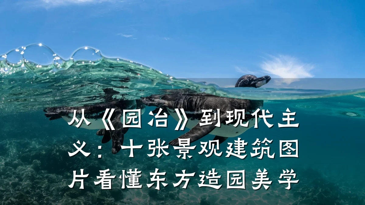 从《园冶》到现代主义:十张景观建筑图片看懂东方造园美学