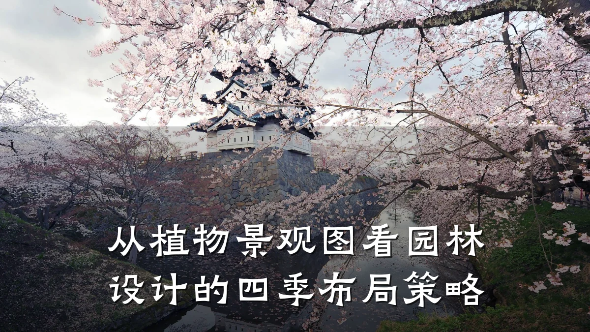 从植物景观图看园林设计的四季布局策略