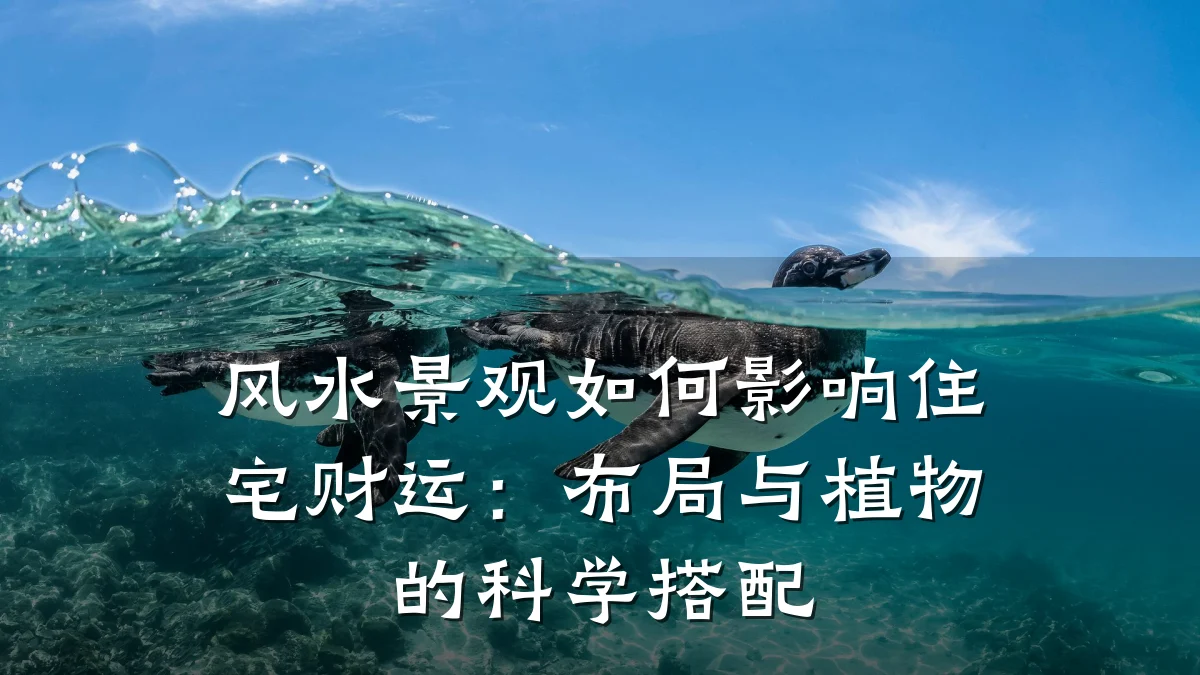 风水景观如何影响住宅财运:布局与植物的科学搭配