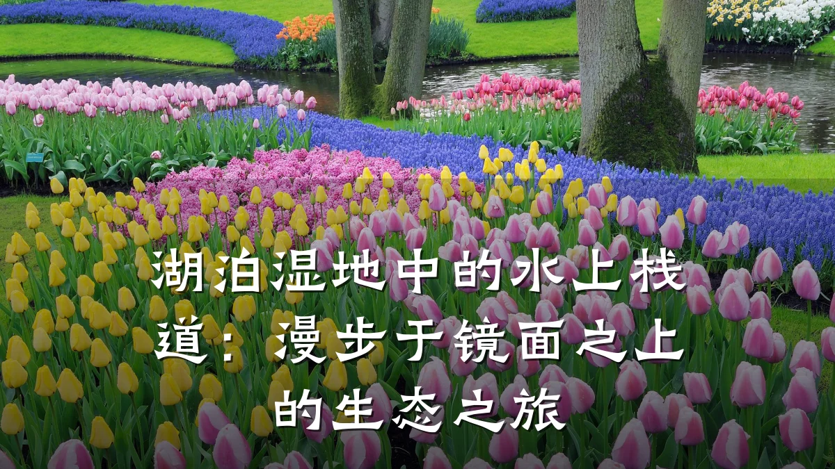 湖泊湿地中的水上栈道：漫步于镜面之上的生态之旅