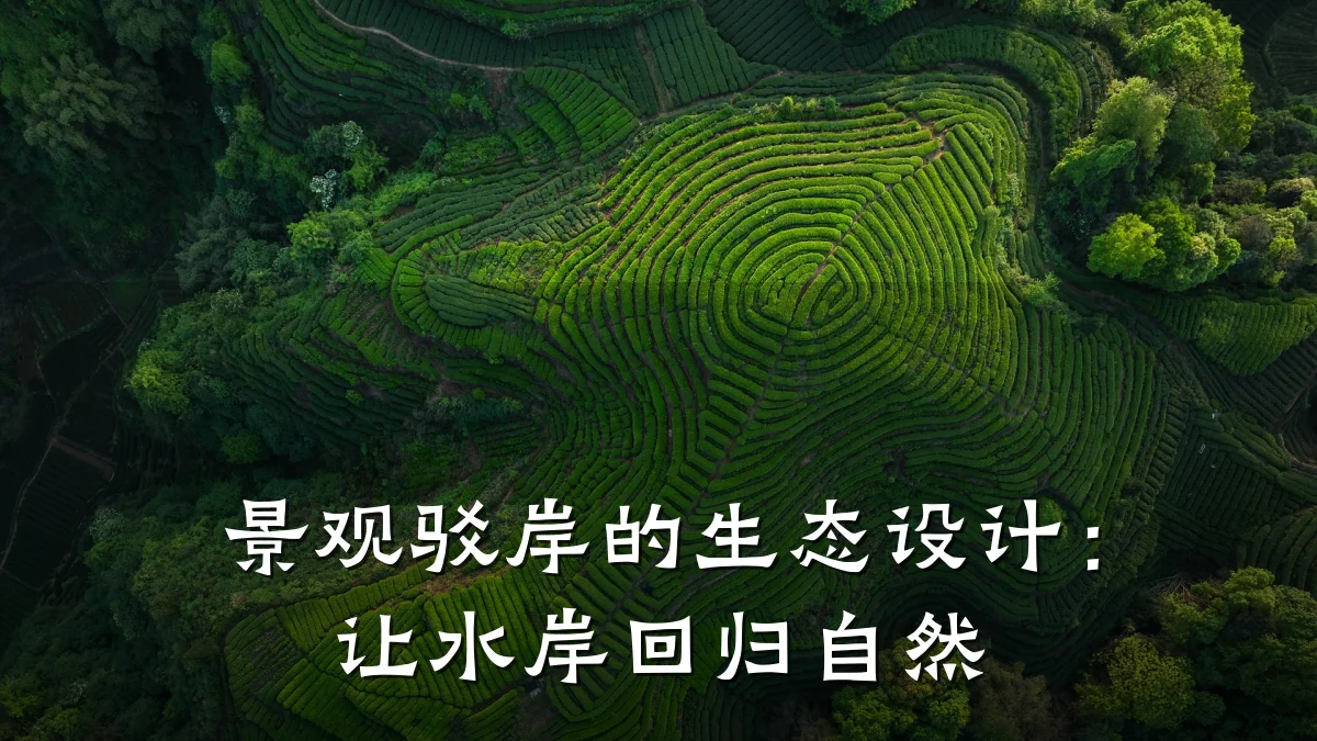 景观驳岸的生态设计:让水岸回归自然