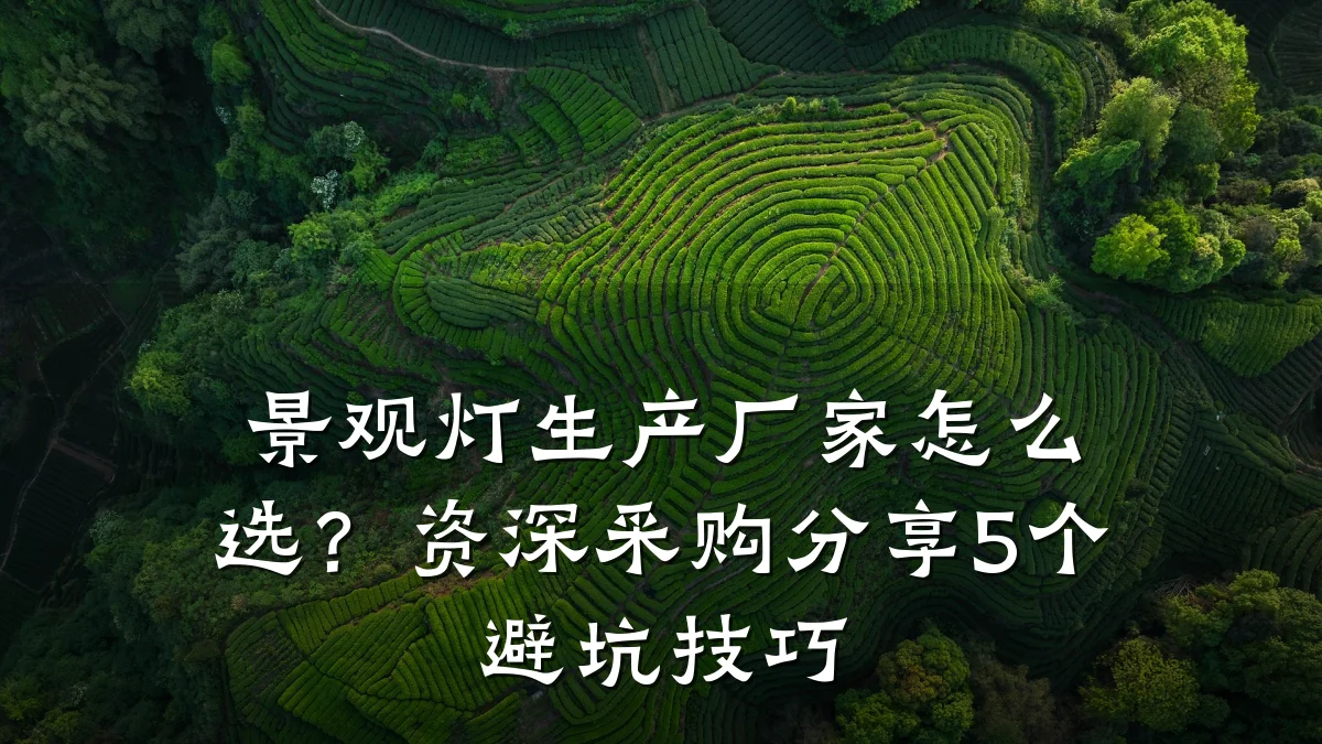 景观灯生产厂家怎么选?资深采购分享5个避坑技巧