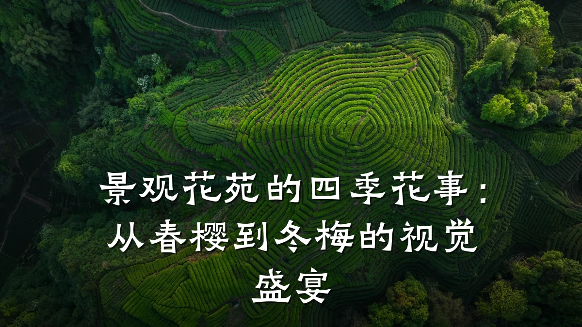 景观花苑的四季花事:从春樱到冬梅的视觉盛宴