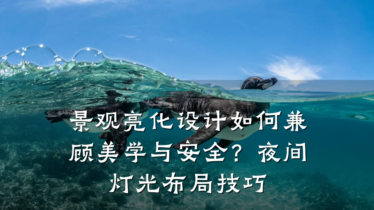 景观亮化设计如何兼顾美学与安全？夜间灯光布局技巧