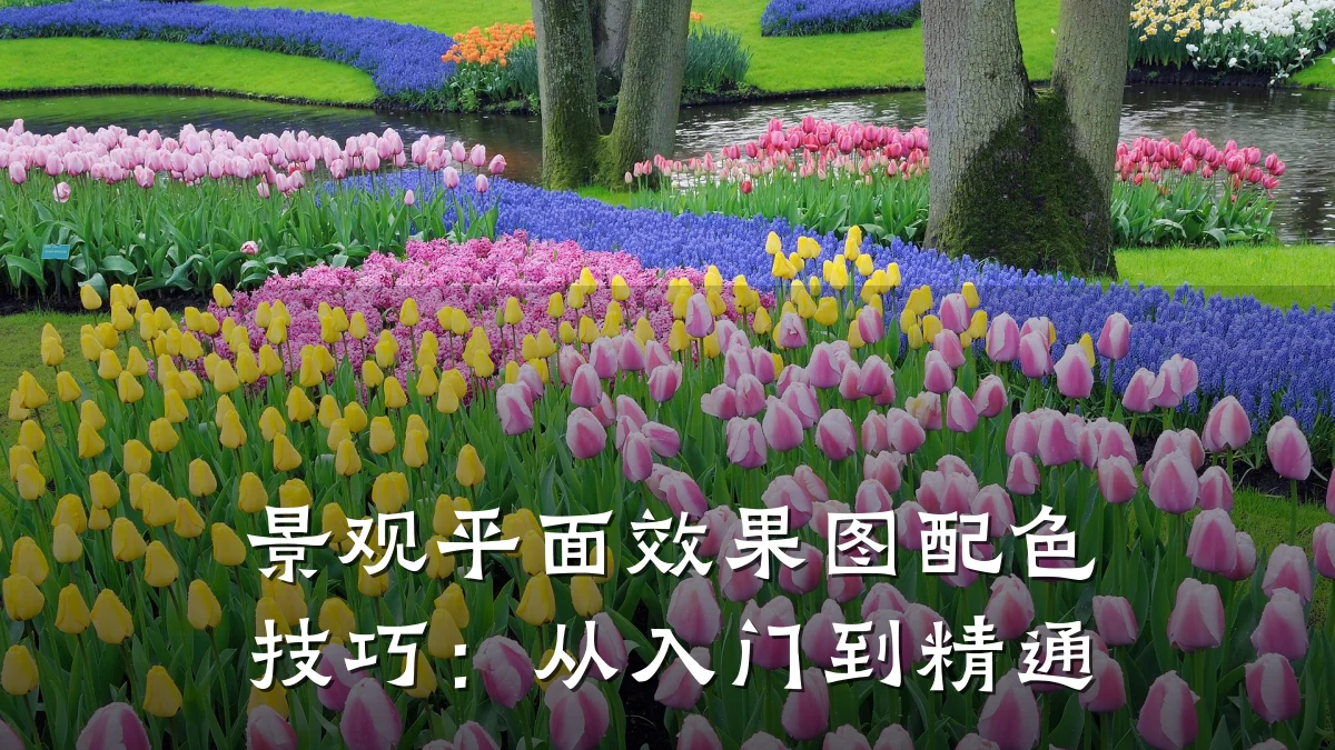 景观平面效果图配色技巧:从入门到精通