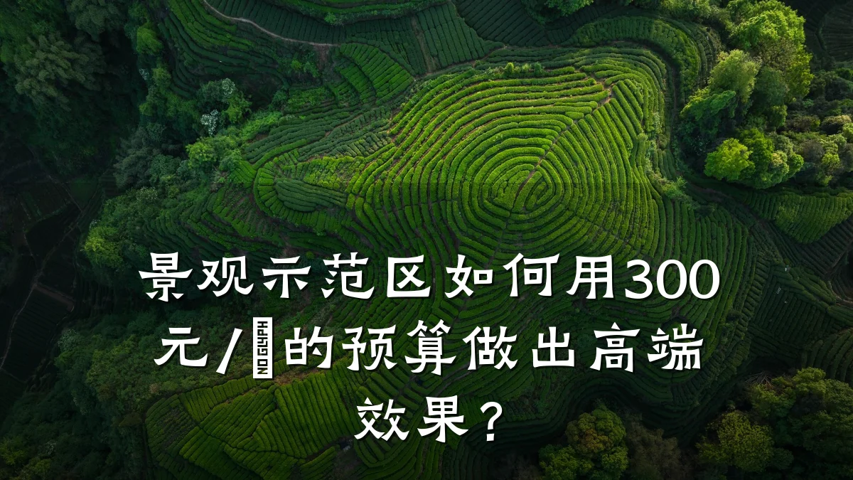 景观示范区如何用300元/㎡的预算做出高端效果?