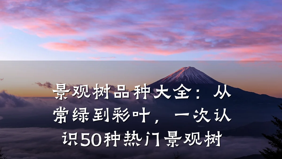 景观树品种大全：从常绿到彩叶，一次认识50种热门景观树