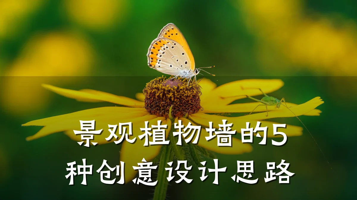景观植物墙的5种创意设计思路