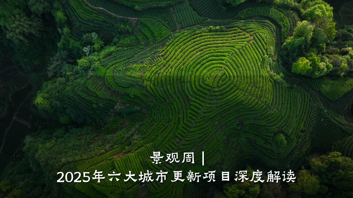 景观周 | 2025年六大城市更新项目深度解读