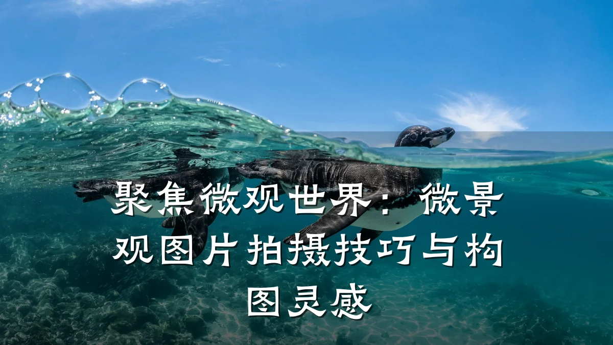 聚焦微观世界:微景观图片拍摄技巧与构图灵感
