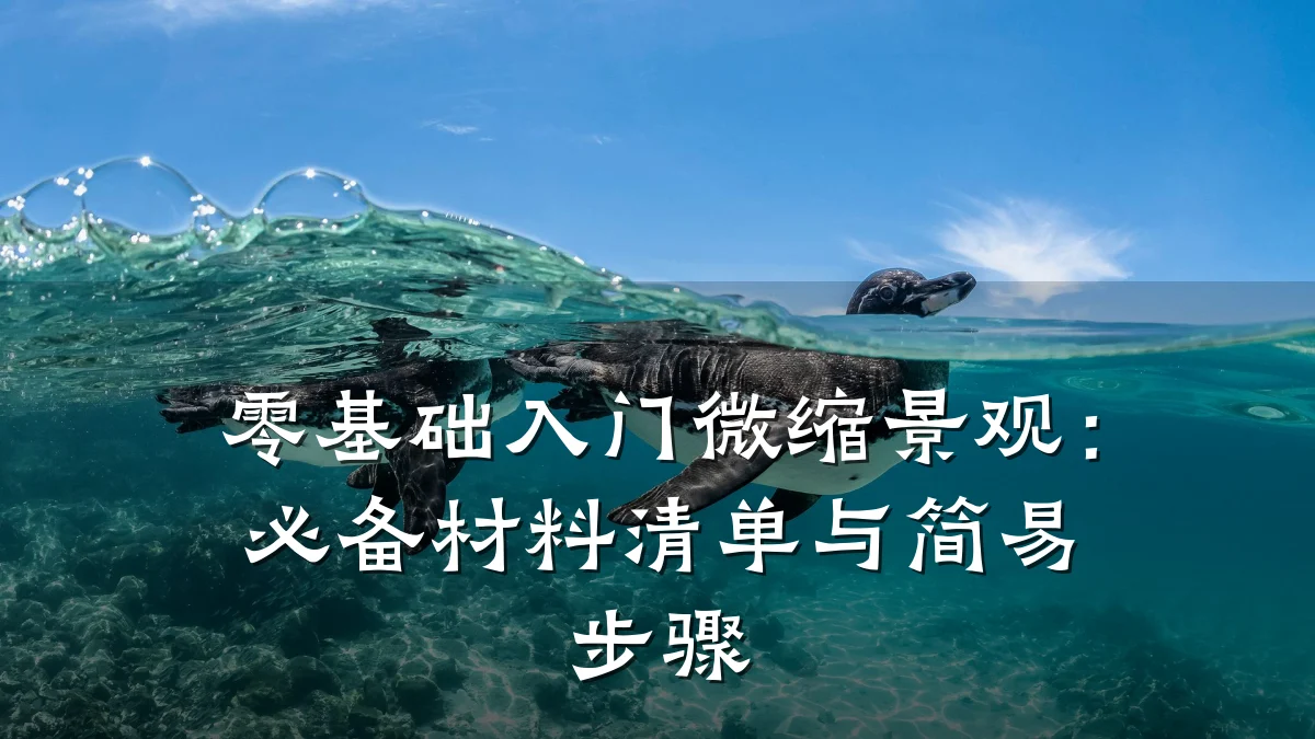 零基础入门微缩景观：必备材料清单与简易步骤