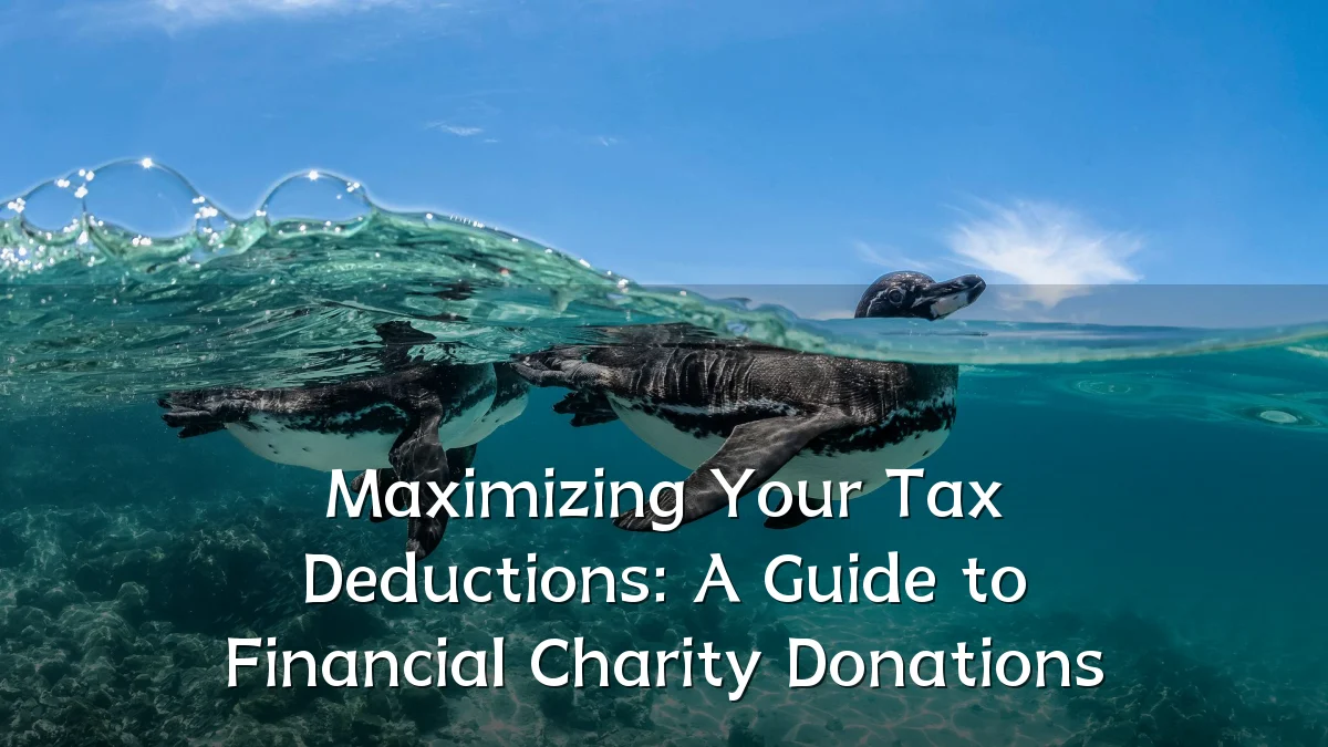Maximizing Your Tax Deductions: A Guide to Financial Charity Donations