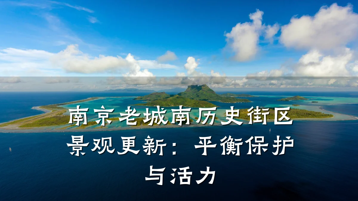 南京老城南历史街区景观更新：平衡保护与活力