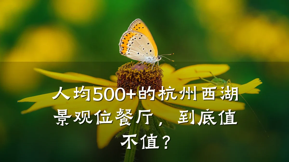 人均500+的杭州西湖景观位餐厅,到底值不值?