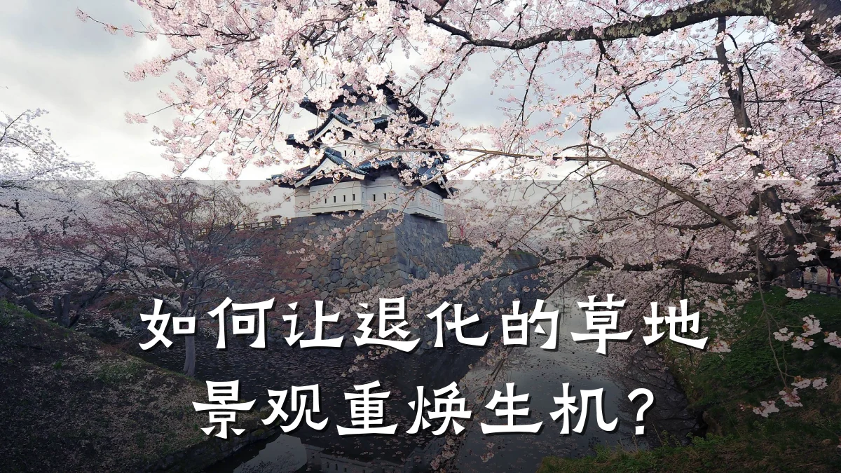 如何让退化的草地景观重焕生机？