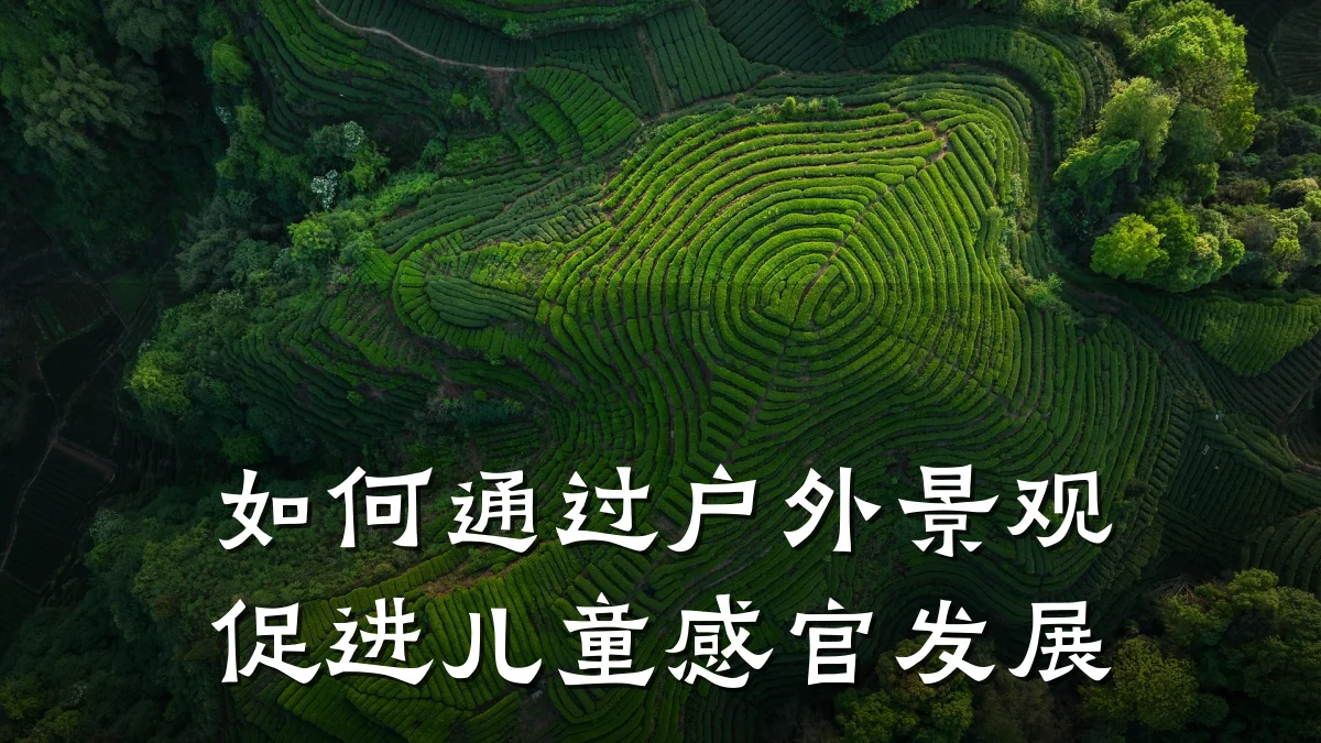 如何通过户外景观促进儿童感官发展