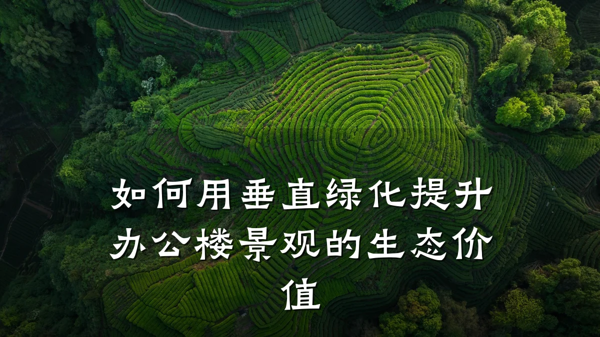 如何用垂直绿化提升办公楼景观的生态价值