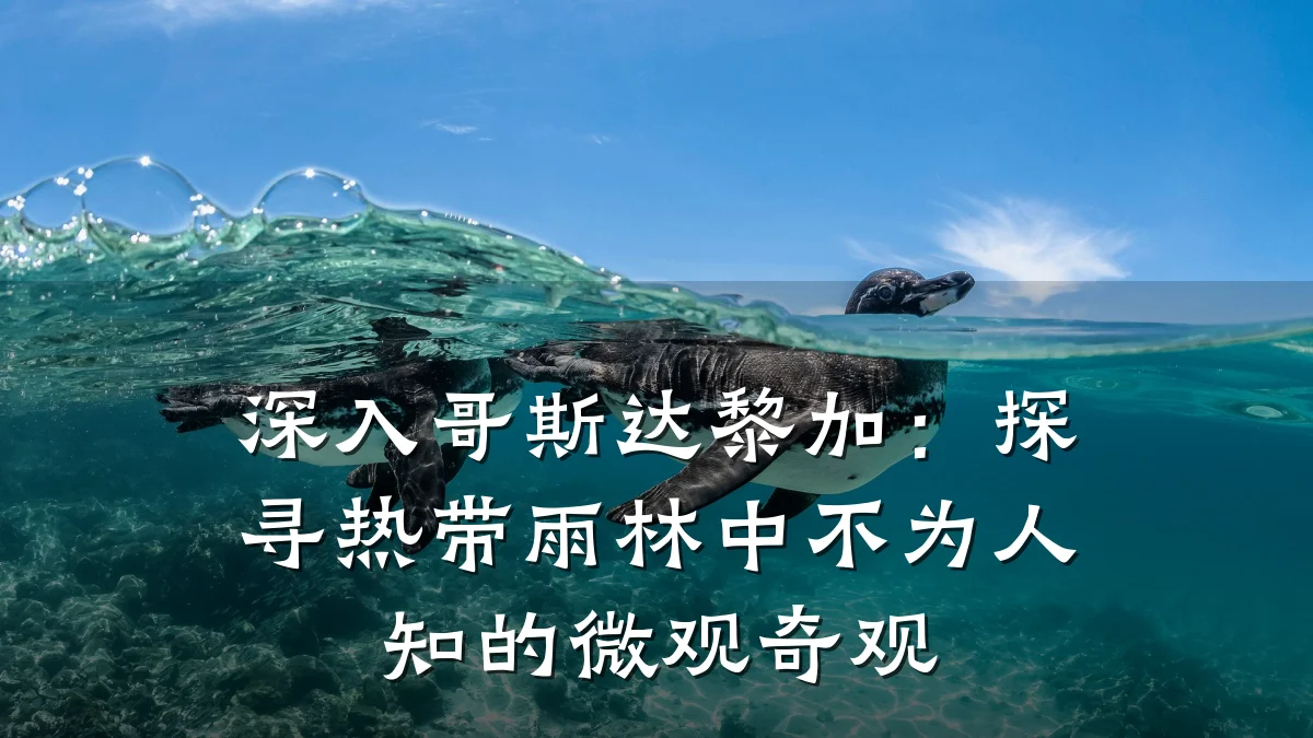 深入哥斯达黎加:探寻热带雨林中不为人知的微观奇观