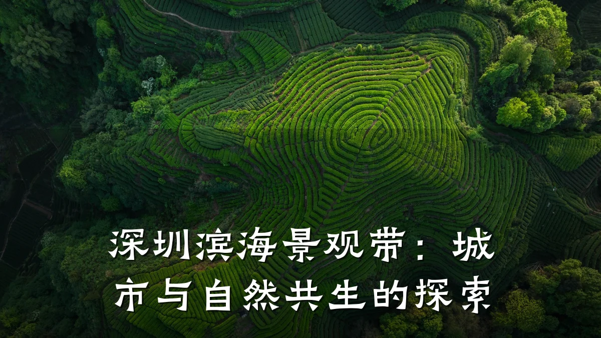 深圳滨海景观带:城市与自然共生的探索