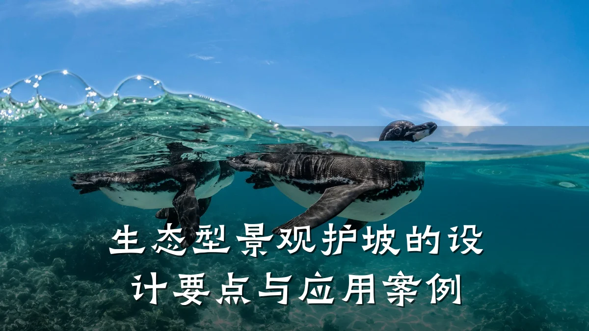 生态型景观护坡的设计要点与应用案例
