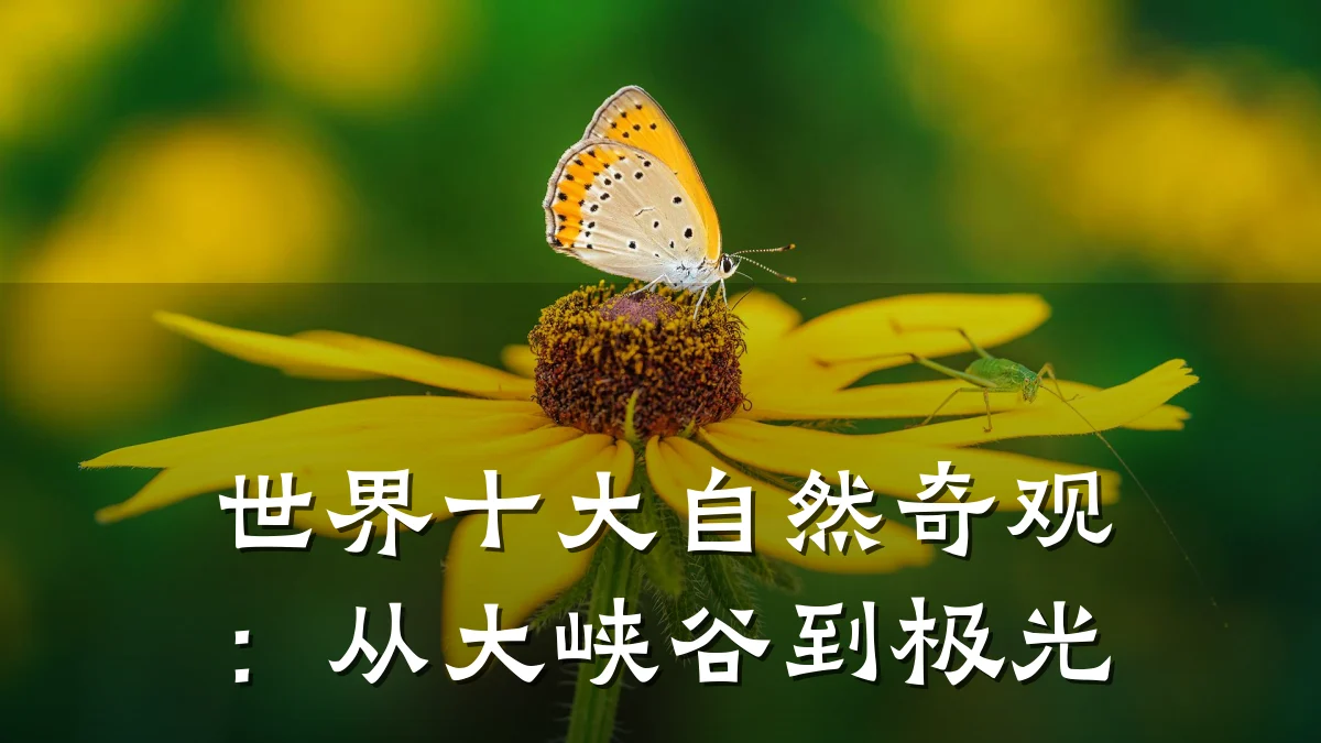 世界十大自然奇观:从大峡谷到极光