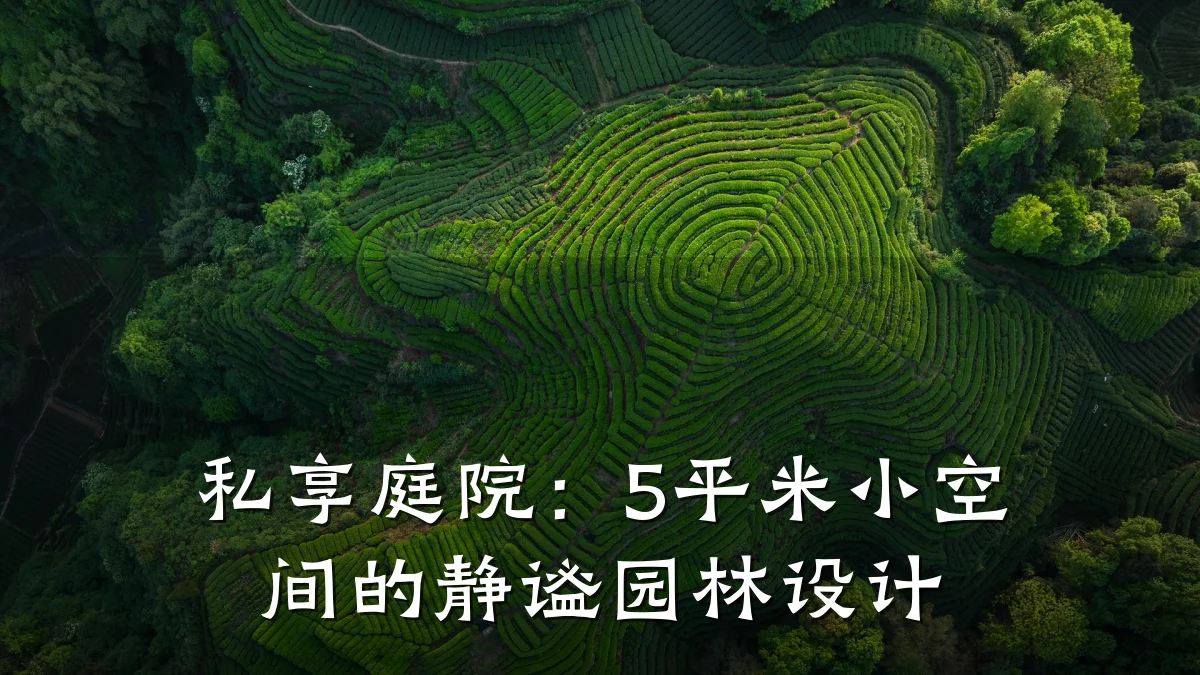 私享庭院:5平米小空间的静谧园林设计