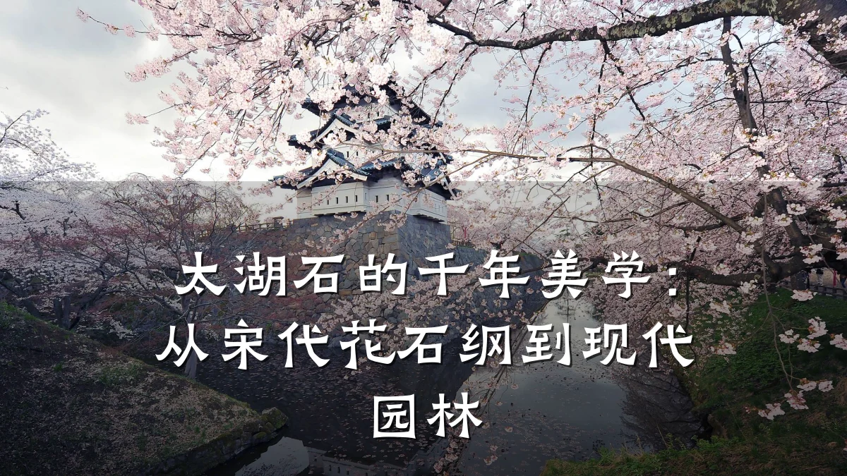太湖石的千年美学:从宋代花石纲到现代园林