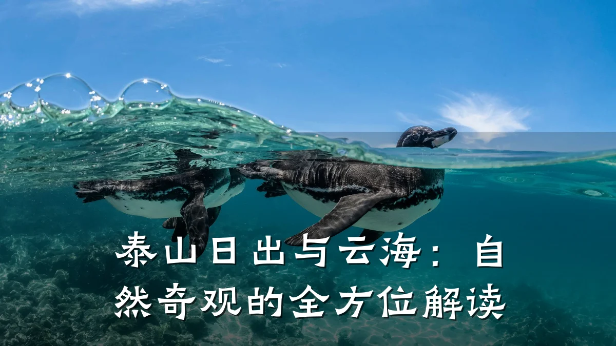 泰山日出与云海:自然奇观的全方位解读
