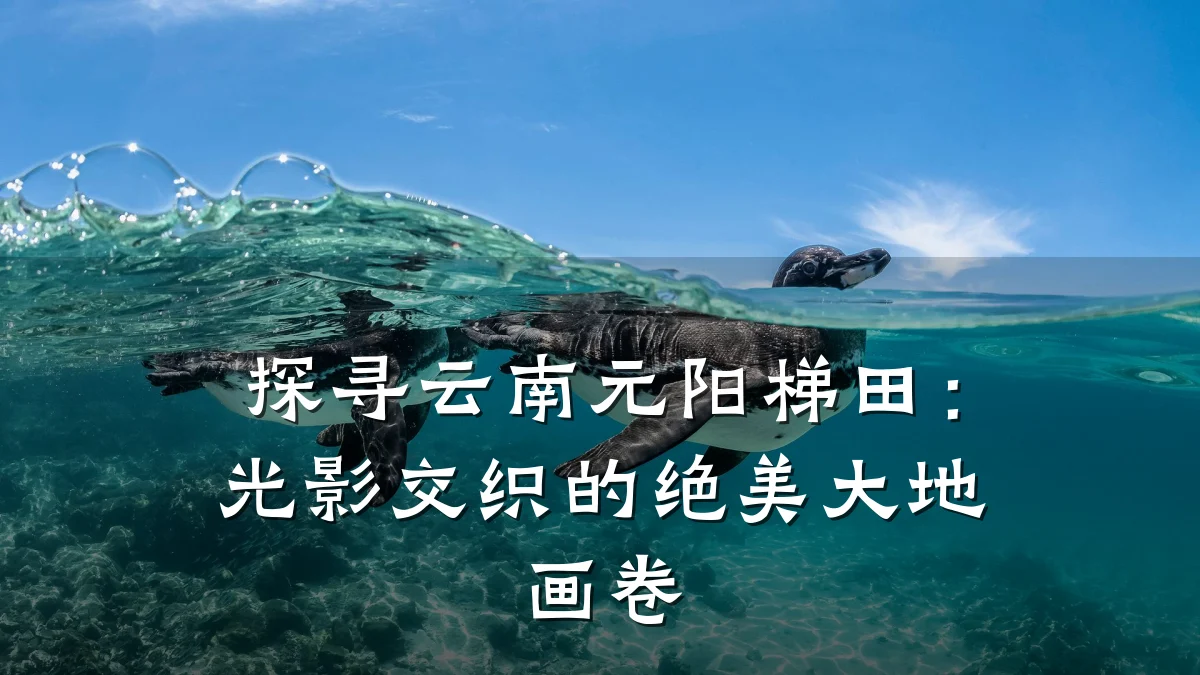 探寻云南元阳梯田：光影交织的绝美大地画卷