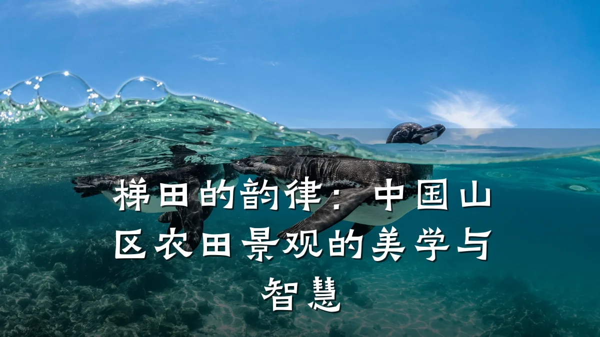 梯田的韵律:中国山区农田景观的美学与智慧