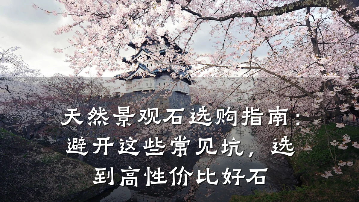 天然景观石选购指南:避开这些常见坑,选到高性价比好石
