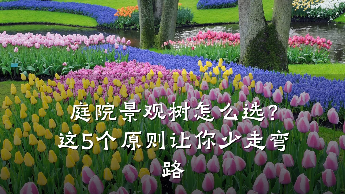 庭院景观树怎么选?这5个原则让你少走弯路