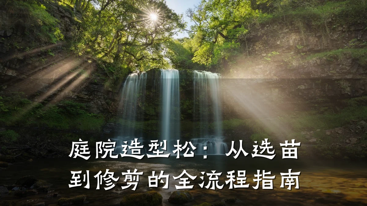 庭院造型松:从选苗到修剪的全流程指南