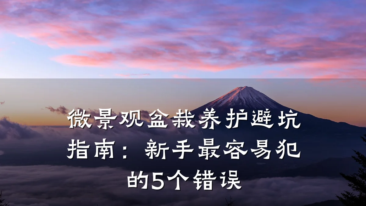 微景观盆栽养护避坑指南:新手最容易犯的5个错误