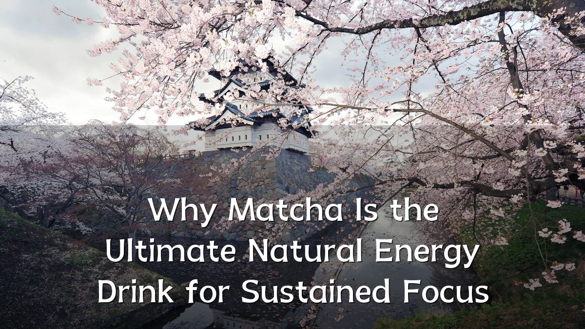 Why Matcha Is the Ultimate Natural Energy Drink for Sustained Focus