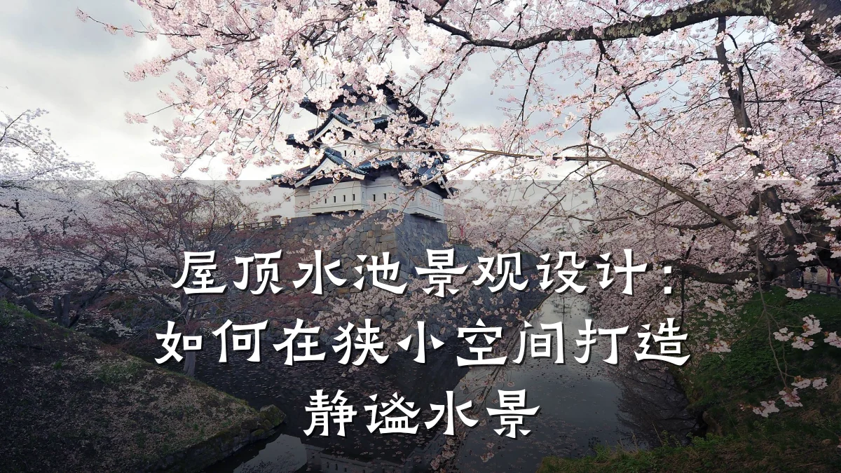 屋顶水池景观设计:如何在狭小空间打造静谧水景