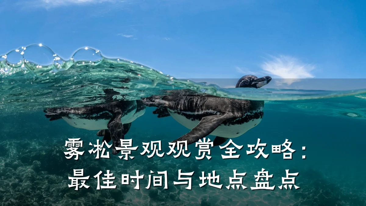 雾凇景观观赏全攻略:最佳时间与地点盘点