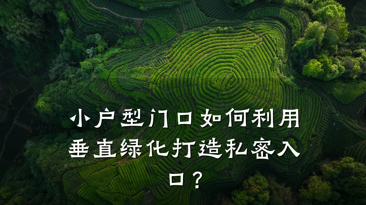 小户型门口如何利用垂直绿化打造私密入口?