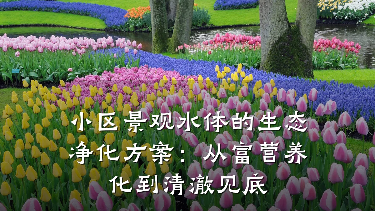 小区景观水体的生态净化方案：从富营养化到清澈见底