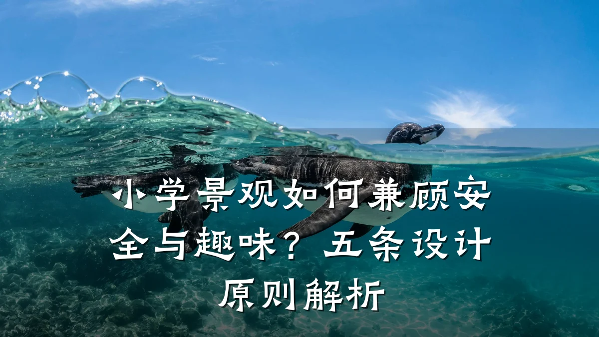 小学景观如何兼顾安全与趣味?五条设计原则解析