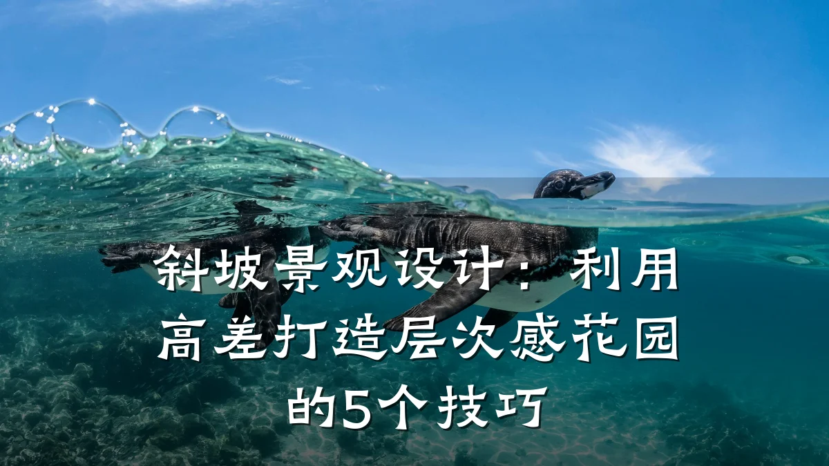 斜坡景观设计：利用高差打造层次感花园的5个技巧