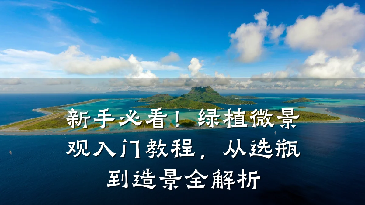 新手必看!绿植微景观入门教程,从选瓶到造景全解析