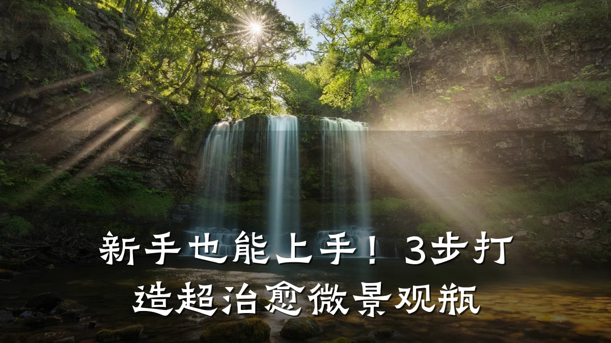 新手也能上手!3步打造超治愈微景观瓶